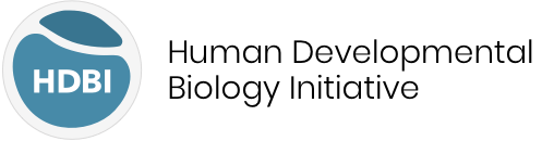 HDBI